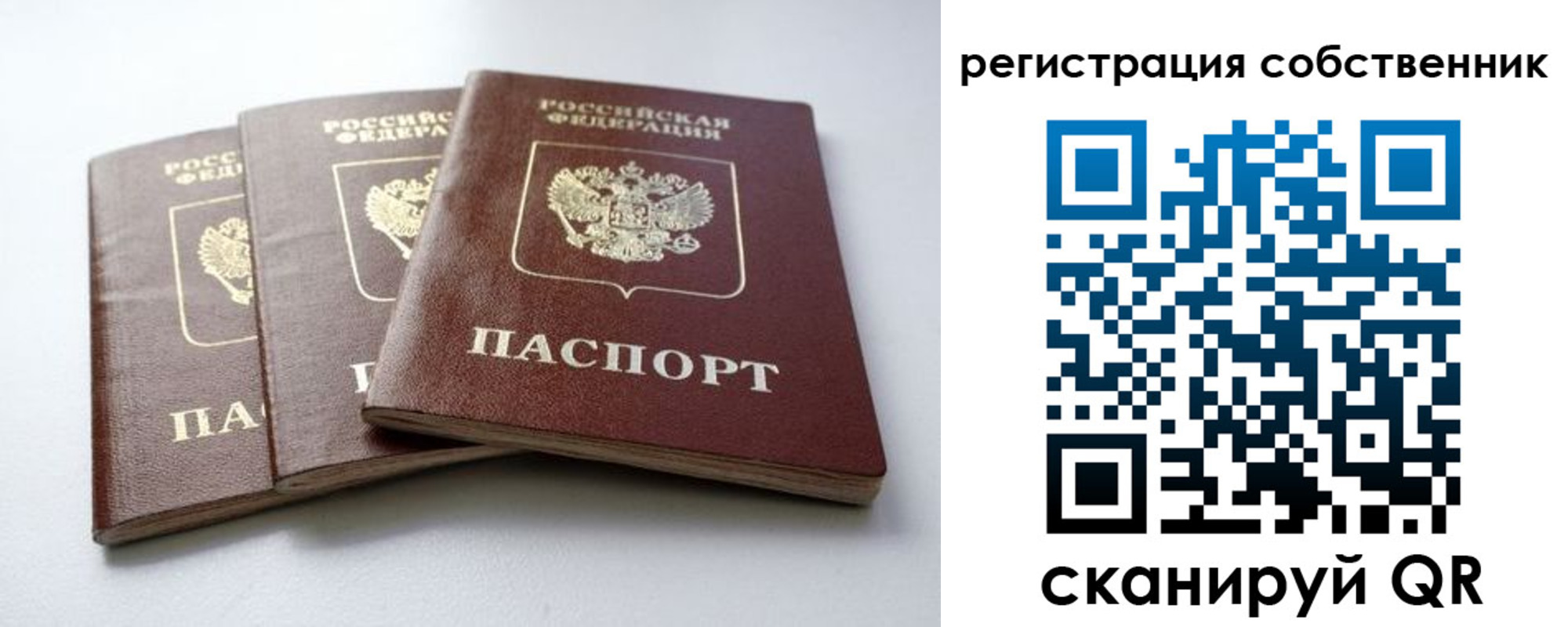 прописка для школы в Ростовской области